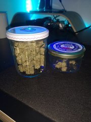Dinamed en pot
