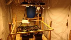 IMG_20201113_163131128.jpg