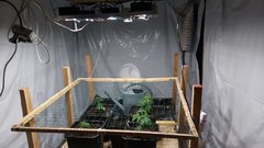 IMG_20201113_163155460.jpg