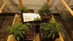 IMG_20201126_181037273.jpg