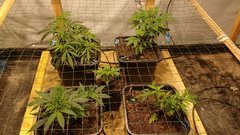 IMG_20201126_181229285.jpg