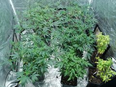 IMG_20201126_210847