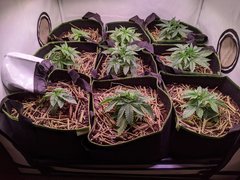 PXL_20201104_163433856.jpg