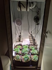 PXL_20201107_150046011.jpg