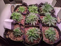 PXL_20201107_173902061.jpg