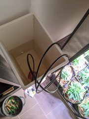 PXL_20201108_175219303.jpg