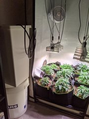 PXL_20201108_175238382.jpg