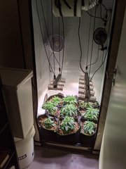 PXL_20201108_181221588.jpg