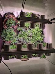PXL_20201111_182702394.jpg