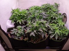 PXL_20201112_191858286.jpg