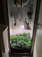 PXL_20201112_191908020.jpg