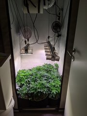 PXL_20201113_223954884.jpg