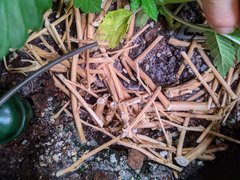 PXL_20201114_191057295.jpg