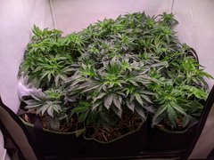 PXL_20201114_191308627.jpg