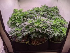 PXL_20201115_200800088.jpg