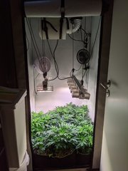 PXL_20201115_200805366.jpg
