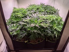 PXL_20201118_011945375.jpg