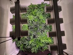 PXL_20201118_012204335.jpg