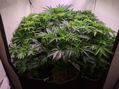 PXL_20201119_201555959.jpg