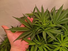 PXL_20201119_201721375.jpg