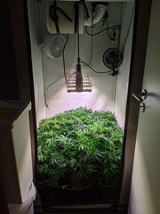 PXL_20201120_204410255.jpg