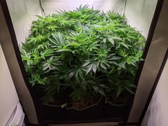 PXL_20201121_202004186.jpg