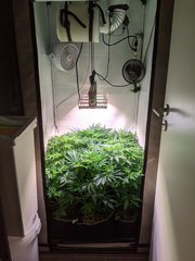 PXL_20201121_202013498.jpg