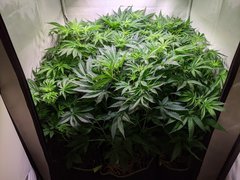 PXL_20201122_183416104.jpg