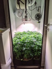 PXL_20201123_191018403.jpg
