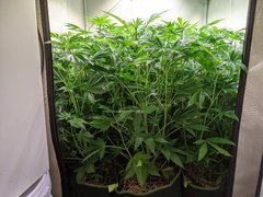 PXL_20201125_191814026.jpg