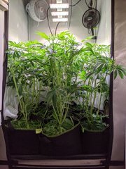 PXL_20201125_201528348.jpg