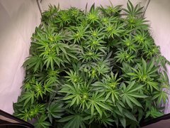 PXL_20201125_201600655.jpg