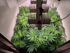 PXL_20201126_211555089.jpg