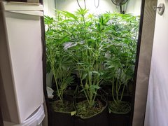 PXL_20201128_183845235.jpg