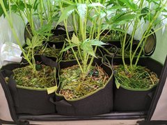 PXL_20201128_184016448.jpg