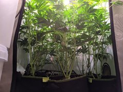 PXL_20201128_184038021.jpg
