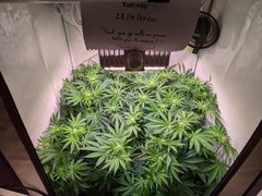 PXL_20201128_184849622.jpg