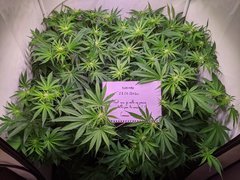 PXL_20201128_184942191.jpg