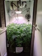 PXL_20201128_185041835.jpg