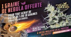 ParadiseSeeds Free Nebula