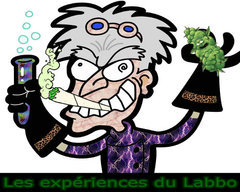 experiences.jpeg
