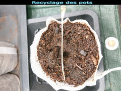 recyclage.JPG