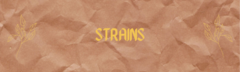 strains.png