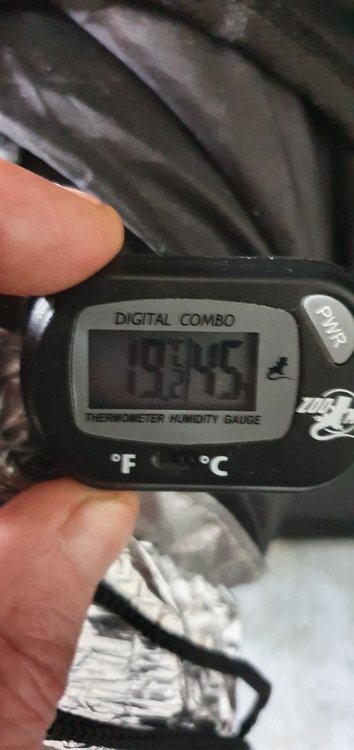 20201213_092658.thumb.jpg.3bc1f1f49051322dff2151e0cdb3bef0.jpg
