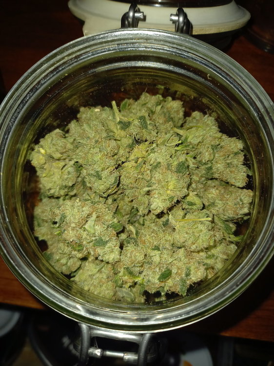 20201217_195148.jpg