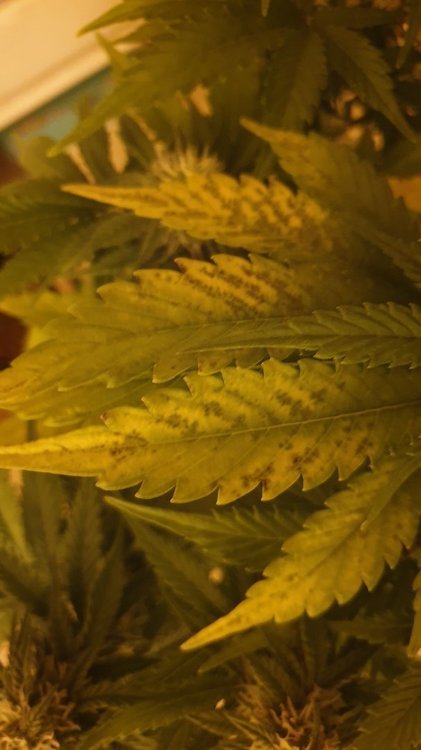20201222_111958.jpg