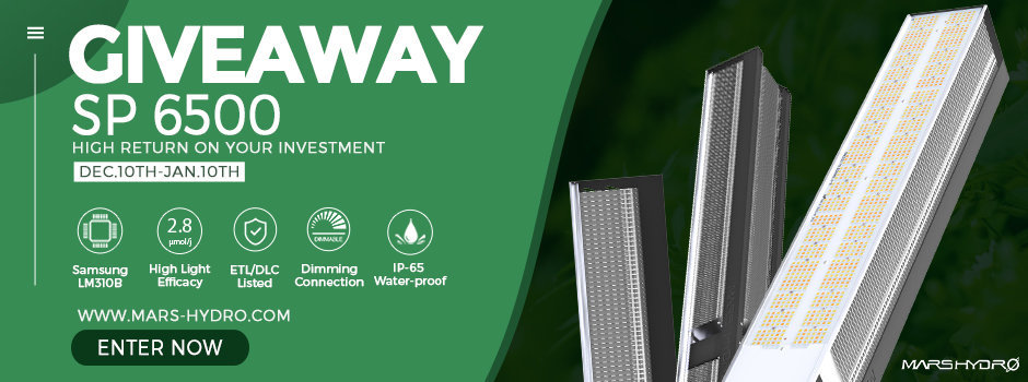 mars hydro LED grow light-sp 6500 giveaway.jpg
