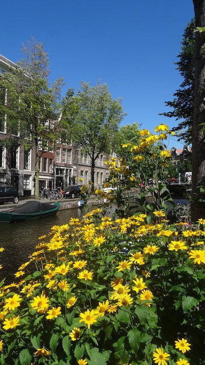 DSC04227.JPG