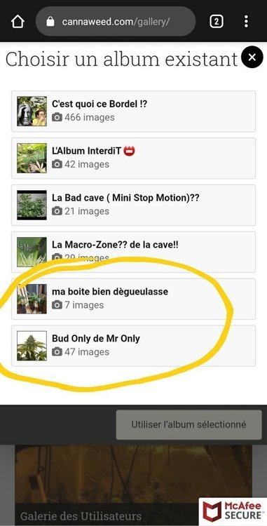 Screenshot_20201226-173859_Chrome.thumb.jpg.44a99a6b02b1efe5c0bf35a1b810561a.jpg