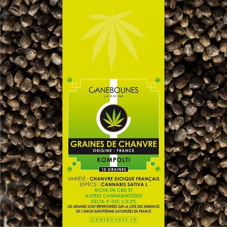 large.graine-chanvre-kompolti-.thumb.jpg.452dc5d2ac002aa49baf12b71035fcd5.jpg